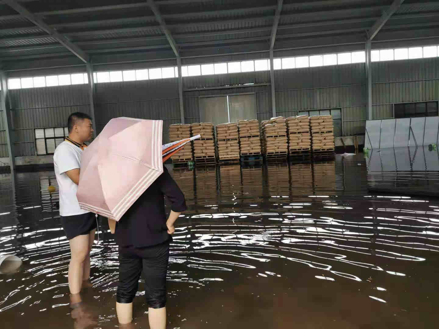 阳光人拧成一股绳！全力投入河南极端强降雨抗洪救灾工作